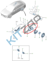 ����� ������ �������� �����