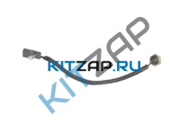 ������ ���������_����_0