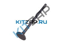 ������ ���������_����_0